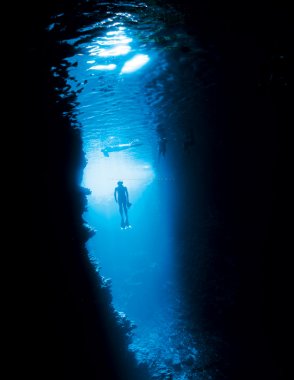 水下鯨情 和藍(lán)鯨在水下
