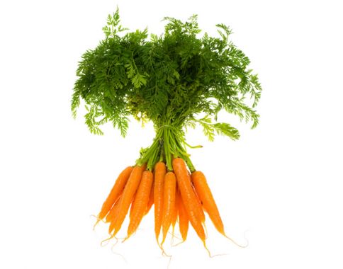 胡蘿卜的功效與作用 “小人參”的另類養