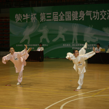 武林秘傳強(qiáng)身功法都有哪些內(nèi)容