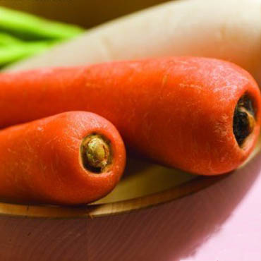 流傳千年的健康經(jīng)