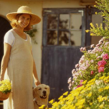 懷孕期間到底能不能養(yǎng)寵物