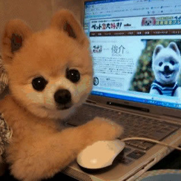 應對職場“星期一癥候群”