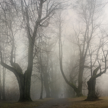 霧天安全行車須知八注意