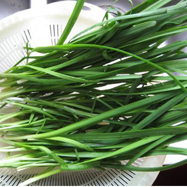 10種食物最能補腎 效果勝過吃補藥