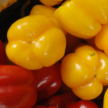 夏天什么補脾胃？黃色……