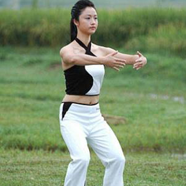 教你怎樣用掌練太極