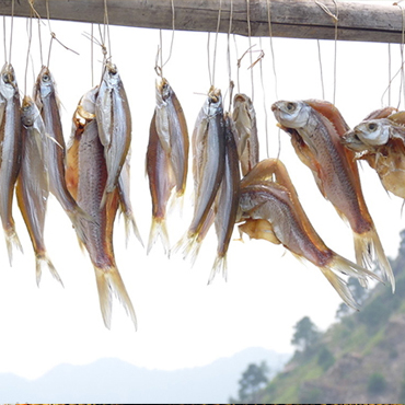 補(bǔ)鈣多吃海藻和小魚(yú)