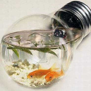 超乎想象的魚缸